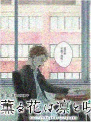 综艺分类入口